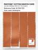 Artikelbild 3 des Artikels “PANTONE® COTTON SWATCH CARD 16-1350 TCX Amberglow “