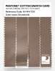 Product image 3 of the product “PANTONE® COTTON SWATCH CARD 16-1414 TCX Chanterelle ”