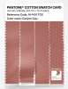 Artikelbild 3 des Artikels “PANTONE® COTTON SWATCH CARD 16-1431 TCX Canyon Clay “