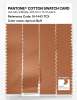 Product image 3 of the product “PANTONE® COTTON SWATCH CARD 16-1443 TCX Apricot Buff ”