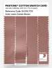 Artikelbild 3 des Artikels “PANTONE® COTTON SWATCH CARD 16-1516 TCX Cameo Brown “