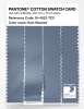 Artikelbild 3 des Artikels “PANTONE® COTTON SWATCH CARD 16-4023 TCX Rain Washed “