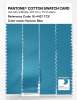 Artikelbild 3 des Artikels “PANTONE® COTTON SWATCH CARD 16-4427 TCX Horizon Blue “