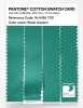 Artikelbild 3 des Artikels “PANTONE® COTTON SWATCH CARD 16-5426 TCX Water Garden “