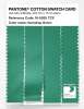 Product image 3 of the product “PANTONE® COTTON SWATCH CARD 16-5825 TCX Gumdrop Green ”