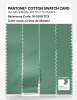 Product image 3 of the product “PANTONE® COTTON SWATCH CARD 16-5919 TCX Crème de Menthe ”