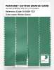 Product image 3 of the product “PANTONE® COTTON SWATCH CARD 16-5924 TCX Winter Green ”