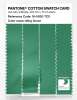 Artikelbild 3 des Artikels “PANTONE® COTTON SWATCH CARD 16-5930 TCX Ming Green “