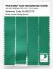 Artikelbild 3 des Artikels “PANTONE® COTTON SWATCH CARD 16-5932 TCX Holly Green “