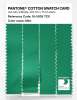 Product image 3 of the product “PANTONE® COTTON SWATCH CARD 16-5938 TCX Mint ”