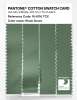 Artikelbild 3 des Artikels “PANTONE® COTTON SWATCH CARD 16-6116 TCX Shale Green “