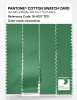 Product image 3 of the product “PANTONE® COTTON SWATCH CARD 16-6127 TCX Greenbriar ”