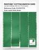 Product image 3 of the product “PANTONE® COTTON SWATCH CARD 16-6138 TCX Kelly Green ”