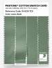 Product image 3 of the product “PANTONE® COTTON SWATCH CARD 16-6216 TCX Basil ”