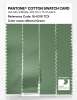 Artikelbild 3 des Artikels “PANTONE® COTTON SWATCH CARD 16-6318 TCX Mineral Green “