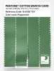 Artikelbild 3 des Artikels “PANTONE® COTTON SWATCH CARD 16-6329 TCX Peppermint “