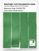 Product image 3 of the product “PANTONE® COTTON SWATCH CARD 16-6339 TCX Vibrant Green ”