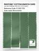 Artikelbild 3 des Artikels “PANTONE® COTTON SWATCH CARD 17-0123 TCX Stone Green “
