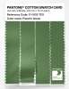 Artikelbild 3 des Artikels “PANTONE® COTTON SWATCH CARD 17-0133 TCX Fluorite Green “