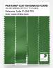 Product image 3 of the product “PANTONE® COTTON SWATCH CARD 17-0145 TCX Online Lime ”