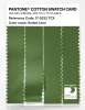 Artikelbild 3 des Artikels “PANTONE® COTTON SWATCH CARD 17-0232 TCX Salted Lime “