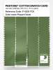 Product image 3 of the product “PANTONE® COTTON SWATCH CARD 17-0235 TCX Piquant Green ”