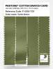Artikelbild 3 des Artikels “PANTONE® COTTON SWATCH CARD 17-0330 TCX Turtle Green “
