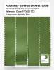 Artikelbild 3 des Artikels “PANTONE® COTTON SWATCH CARD 17-0332 TCX Spindle Tree “