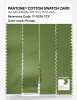 Product image 3 of the product “PANTONE® COTTON SWATCH CARD 17-0336 TCX Peridot ”
