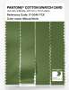Artikelbild 3 des Artikels “PANTONE® COTTON SWATCH CARD 17-0345 TCX Minced Herb “