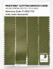 Artikelbild 3 des Artikels “PANTONE® COTTON SWATCH CARD 17-0530 TCX Guacamole “
