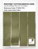 Artikelbild 3 des Artikels “PANTONE® COTTON SWATCH CARD 17-0535 TCX Green Olive “
