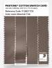 Artikelbild 3 des Artikels “PANTONE® COTTON SWATCH CARD 17-0807 TCX Mountain Trail “
