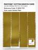 Artikelbild 3 des Artikels “PANTONE® COTTON SWATCH CARD 17-0839 TCX Golden Palm “