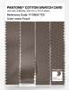 Product image 3 of the product “PANTONE® COTTON SWATCH CARD 17-0909 TCX Fossil ”