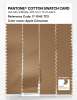 Product image 3 of the product “PANTONE® COTTON SWATCH CARD 17-1045 TCX Apple Cinnamon ”