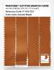 Artikelbild 3 des Artikels “PANTONE® COTTON SWATCH CARD 17-1145 TCX Autumn Maple “