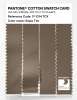 Artikelbild 3 des Artikels “PANTONE® COTTON SWATCH CARD 17-1314 TCX Sepia Tint “