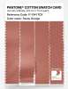 Artikelbild 3 des Artikels “PANTONE® COTTON SWATCH CARD 17-1341 TCX Tawny Orange “