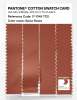 Artikelbild 3 des Artikels “PANTONE® COTTON SWATCH CARD 17-1345 TCX Spice Route “