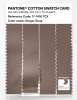 Artikelbild 3 des Artikels “PANTONE® COTTON SWATCH CARD 17-1418 TCX Ginger Snap “