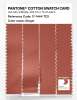 Product image 3 of the product “PANTONE® COTTON SWATCH CARD 17-1444 TCX Ginger ”
