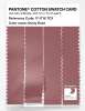 Product image 3 of the product “PANTONE® COTTON SWATCH CARD 17-1718 TCX Dusty Rose ”