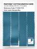 Artikelbild 3 des Artikels “PANTONE® COTTON SWATCH CARD 17-4429 TCX Navagio Bay “