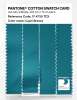 Product image 3 of the product “PANTONE® COTTON SWATCH CARD 17-4735 TCX Capri Breeze ”