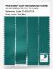 Product image 3 of the product “PANTONE® COTTON SWATCH CARD 17-5024 TCX Teal Blue ”