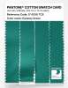 Artikelbild 3 des Artikels “PANTONE® COTTON SWATCH CARD 17-5330 TCX Dynasty Green “