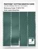 Product image 3 of the product “PANTONE® COTTON SWATCH CARD 17-5513 TCX Deep Sea ”