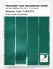 Product image 3 of the product “PANTONE® COTTON SWATCH CARD 17-5528 TCX Greenlake ”