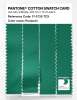 Artikelbild 3 des Artikels “PANTONE® COTTON SWATCH CARD 17-5735 TCX Parakeet “